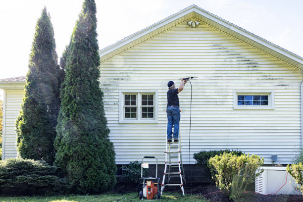 Trusted Raubsville, PA  Pressure Washing Services Experts